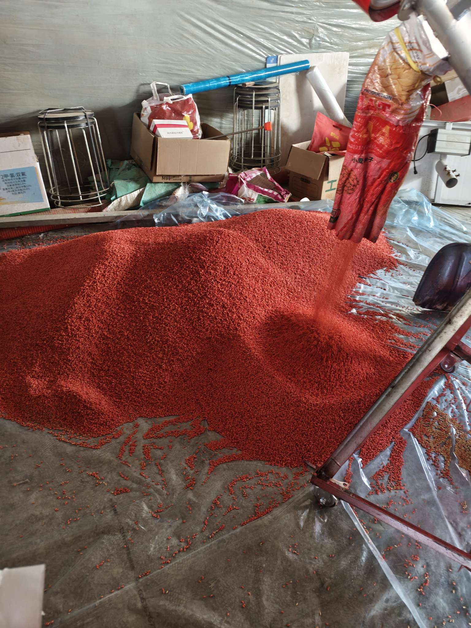 四冠包衣拌种，防虫防病壮苗增产。