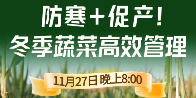 《细说农技》专家张宝林教冬季蔬菜防寒 + 促产高效管理，27 日晚 8 点！
