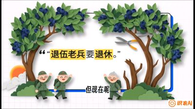 第7节：修剪决定产量（下）&mdash;&mdash;结果树的更新与疏果，课程：《蓝莓&ldquo;高产&rdquo;实战课：从选苗到丰收的10个关键点》