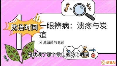 第三节：细菌与真菌&mdash;&mdash;溃疡病与炭疽病，课程：《柑橘十大病虫害：从入门到精通》