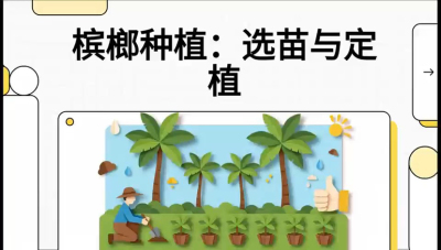 第01节：选苗与定植&mdash;&mdash;&ldquo;苗好一半收，底肥定千秋&rdquo;课程：《槟榔种植：从不懂到精通的10堂必修课》