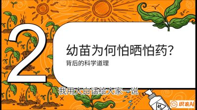 第02节：幼树管理&mdash;&mdash;&ldquo;防晒又防草，树势起得早&rdquo;，课程：《槟榔种植：从不懂到精通的10堂必修课》