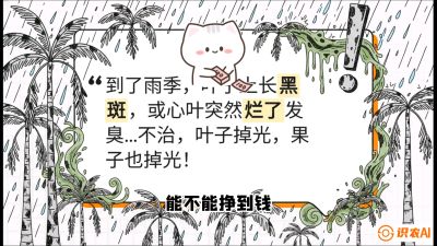 第05节：常见真菌病害&mdash;&mdash;&ldquo;炭疽与烂心，早防值千金&rdquo;《槟榔种植：从不懂到精通的10堂必修课》