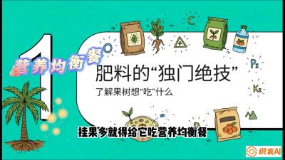 第07节：科学施肥&mdash;&mdash;&ldquo;氮磷钾配好，树壮果不倒