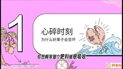 第08节：微量元素与保果&mdash;&mdash;&ldquo;补硼又补钙，果子不裂坏&rdquo;《槟榔种植：从不懂到精通的10堂必修课》