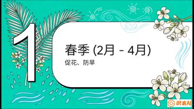 第10节：周年农事日历&mdash;&mdash;&ldquo;跟着节气走，丰产在手头&rdquo;《槟榔种植：从不懂到精通的10堂必修课》