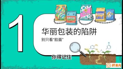 第4节：【黄金配方】底肥里的&ldquo;铁三角&rdquo;与&ldquo;微量雷区&rdquo;课程：《柑橘底肥&ldquo;翻身账&rdquo;：从改土到高产的实战全书》