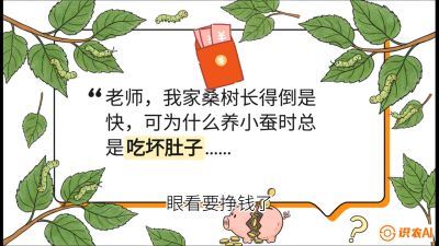 第01节：不仅仅是树&mdash;&mdash;顶级品种选配策略，课程：《桑海淘金：桑树高产与蚕桑安全进阶实战课》