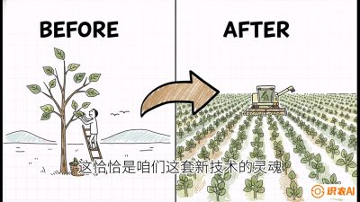 第02节：把树变成草&mdash;&mdash;&ldquo;草本化密植&rdquo;技术，课程：《桑海淘金：桑树高产与蚕桑安全进阶实战课》