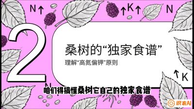 第04节：地下核动力&mdash;&mdash;桑树专用水肥一体化配方，课程：《桑海淘金：桑树高产与蚕桑安全进阶实战课》