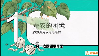 第06节：虫口夺叶（上）&mdash;&mdash;物理与生物防控绝技，课程《桑海淘金：桑树高产与蚕桑安全进阶实战课》