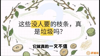 第12节：变废为宝&mdash;&mdash;循环农业实操，课程：《桑海淘金：桑树高产与蚕桑安全进阶实战课》