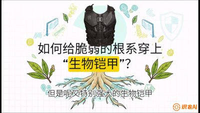 第三节：国产榴莲突围战：根系堡垒，菌根微生态构建与黄金定植窗口，课程：《国产榴莲突围战：从泰国经验到中国实操的8堂必修课（高阶实战版）》