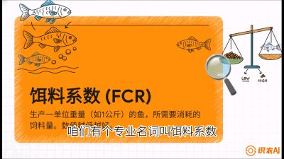 第五节：【高端单品&middot;鳜鱼】&ldquo;饲料鳜&rdquo;技术：打破吃活饵的高成本魔咒，课程：《黄金鳞甲：2025中国淡水鱼高效养殖实战营》