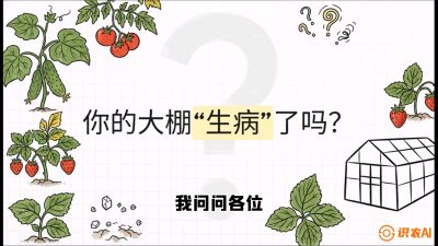 第2节（解毒篇）： 大棚里的&ldquo;红白绿&rdquo;警报&mdash;&mdash;读懂土壤盐渍化的求救信号，课程：《揭秘土壤的秘密：让土地帮你赚钱》#识农AI