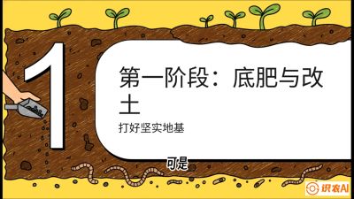 第6节（统筹篇）： 省钱又增产的&ldquo;黄金配比&rdquo;&mdash;&mdash;不同作物全年的养土实操方案，课程：《揭秘土壤的秘密：让土地帮你赚钱》#识农AI