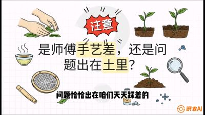 第02节（土肥篇）：告别&ldquo;苦涩水味&rdquo;：揭秘&ldquo;碳氮比&rdquo;调控术，种出自带兰花香的好茶底，课程：《茶金时代：从&ldquo;看天吃饭&rdquo;到&ldquo;精准控局&rdquo;的茶叶高产提质实战课》