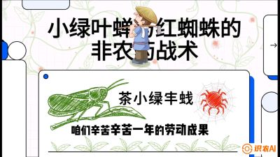第03节（虫害篇）：看不见的吸血鬼：小绿叶蝉与红蜘蛛的&ldquo;非农药&rdquo;团灭战术（抗性治理），课程：《茶金时代：从&ldquo;看天吃饭&rdquo;到&ldquo;精准控局&rdquo;的茶叶高产提质实战课》