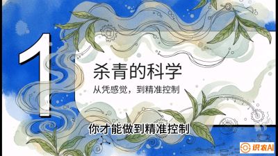 第05节（加工篇）：决胜2分钟：用&ldquo;数字温控&rdquo;破解杀青不匀，复刻大师级手工口感，课程：《茶金时代：从&ldquo;看天吃饭&rdquo;到&ldquo;精准控局&rdquo;的茶叶高产提质实战课》