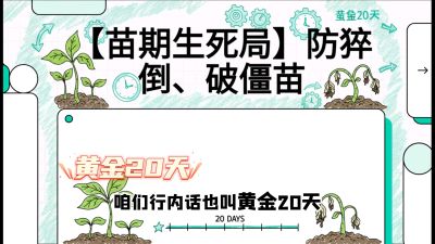 第2节：【苗期生死局】防猝倒、破僵苗，决定后期产量的&ldquo;黄金20天&rdquo;，课程：《辣椒种植实战特训营，从工业辣椒到精品小米辣，教你如何把&ldquo;草&rdquo;种成&ldquo;金&rdquo;》