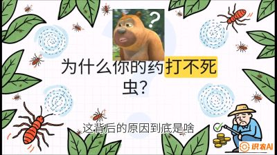 第4节：【虫害歼灭战】打不死的蓟马、隐形的茶黄螨：抗性时代的&ldquo;混配绝杀&rdquo;，课程：《辣椒种植实战特训营，从工业辣椒到精品小米辣，教你如何把&ldquo;草&rdquo;种成&ldquo;金&rdquo;》