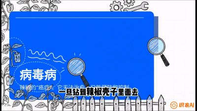 第5节：【病毒病阻击】辣椒的&ldquo;癌症&rdquo;怎么治？从&ldquo;绝收恐慌&rdquo;到&ldquo;带毒生产&rdquo;的逆转术，课程：《辣椒种植实战特训营，从工业辣椒到精品小米辣，教你如何把&ldquo;草&rdquo;种成&ldquo;金&rdquo;》