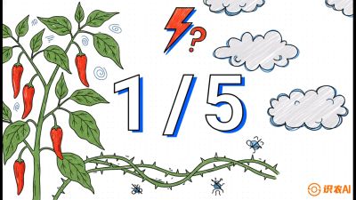 第6节：【花果爆发术】落花落果的五大元凶，与&ldquo;三喷一保&rdquo;坐果黑科技，课程：《辣椒种植实战特训营，从工业辣椒到精品小米辣，教你如何把&ldquo;草&rdquo;种成&ldquo;金&rdquo;》