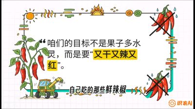 第7节：【工业辣椒专场】追求极致辣度！干物质提升与机械化采收的&ldquo;催红秘籍&rdquo;，课程：《辣椒种植实战特训营，从工业辣椒到精品小米辣，教你如何把&ldquo;草&rdquo;种成&ldquo;金&rdquo;》