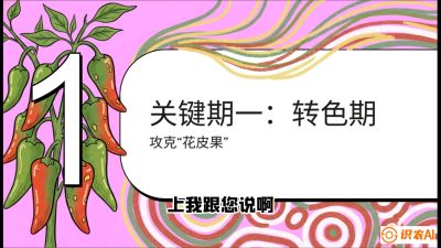 第8节：【小米辣线椒专场】颜值即正义！防花皮、防炭疽，打造收购商抢着要的&ldquo;精品果&rdquo;，课程：《辣椒种植实战特训营，从工业辣椒到精品小米辣，教你如何把&ldquo;草&rdquo;种成&ldquo;金&rdquo;》