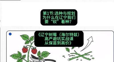 第一节： 选种与规划&mdash;&mdash;为什么在辽宁我们要&ldquo;砍&rdquo;着种？，课程：《辽宁树莓（海尔特兹）高产避坑实战课：从保苗到高价》
