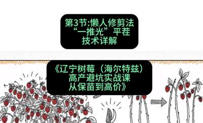 第三节： 懒人修剪法&mdash;&mdash;&ldquo;一推光&rdquo;平茬技术详解，课程：《辽宁树莓（海尔特兹）高产避坑实战课：从保苗到高价》