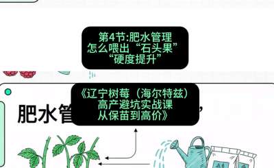 第四节： 肥水管理&mdash;&mdash;怎么喂出&ldquo;石头果&rdquo;（硬度提升），课程：《辽宁树莓（海尔特兹）高产避坑实战课：从保苗到高价》