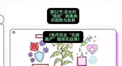 第02节：百合的&ldquo;癌症&rdquo;&mdash;&mdash;病毒病的阻断与急救，课程：《卷丹百合&ldquo;无病高产&rdquo;植保实战课》#识农AI