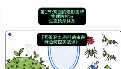 第01节：茶园的&ldquo;隐形盾牌&rdquo;&mdash;&mdash;物理防控与生态诱杀体系，课程：《茗茶卫士&mdash;&mdash;茶叶病虫害绿色防控实战课》#识农AI