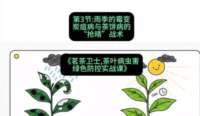 第03节：雨季的霉变&mdash;&mdash;炭疽病与茶饼病的&ldquo;抢晴&rdquo;战术，课程：《茗茶卫士&mdash;&mdash;茶叶病虫害绿色防控实战课》#识农AI
