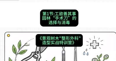 第01节：工欲善其事&mdash;&mdash;园林&ldquo;手术刀&rdquo;的选择与消毒，课程：《景观树木&ldquo;整形外科&rdquo;造型实战特训营》#识农AI