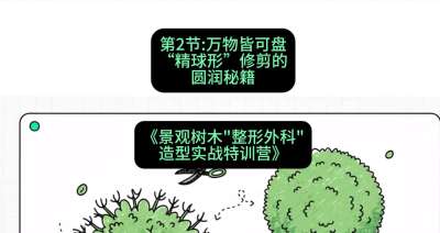 第02节：万物皆可盘&mdash;&mdash;&ldquo;精球形&rdquo;修剪的圆润秘籍，课程：《景观树木&ldquo;整形外科&rdquo;造型实战特训营》#识农AI