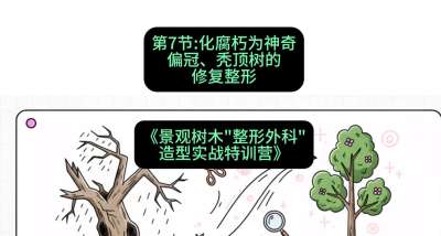 第07节：化腐朽为神奇&mdash;&mdash;偏冠、秃顶树的修复整形，课程：《景观树木&ldquo;整形外科&rdquo;造型实战特训营》#识农AI