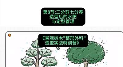 第08节：三分剪七分养&mdash;&mdash;造型后的水肥与定型管理，课程：《景观树木&ldquo;整形外科&rdquo;造型实战特训营》#识农AI