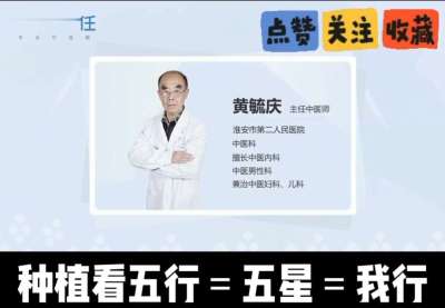 中药材淫羊藿怎么种？听专家一次讲明白！不挑地块好管理，耐寒耐旱省心省力，新手也能轻松上手，药用价值高、市场需求稳，妥妥的增收好品种～ 从生长习性到采收要点，干货满满无废话，种植疑问直接问，一对一答疑解