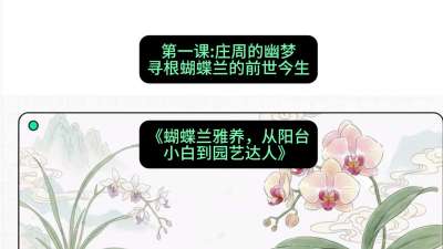 第一节：庄周的幽梦：寻根蝴蝶兰的前世今生，课程：《蝴蝶兰雅养六讲：从阳台小白到园艺达人》#识农AI