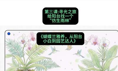 第三节：寻光之旅：给阳台找一个&ldquo;仿生雨林&rdquo;，课程：《蝴蝶兰雅养六讲：从阳台小白到园艺达人》#识农AI