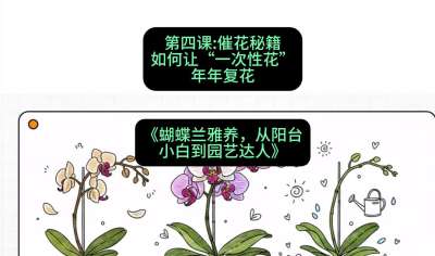 第四节：催花秘籍：如何让&ldquo;一次性花&rdquo;年年复花，课程：《蝴蝶兰雅养六讲：从阳台小白到园艺达人》#识农AI