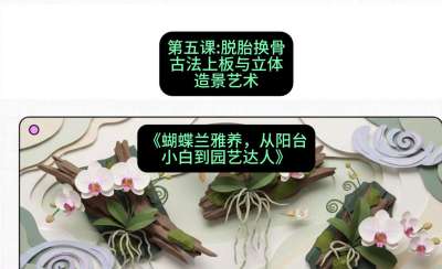 第五节：脱胎换骨：古法上板与立体造景艺术，课程：《蝴蝶兰雅养六讲：从阳台小白到园艺达人》#识农AI