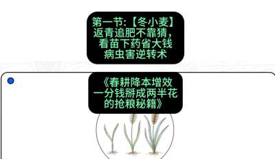 第一节：【冬小麦】返青追肥不靠猜，看苗下药省大钱