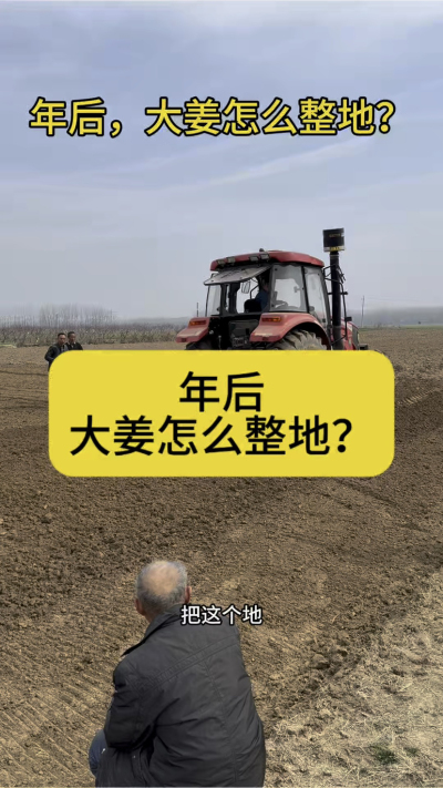 年后，大姜怎么整地？