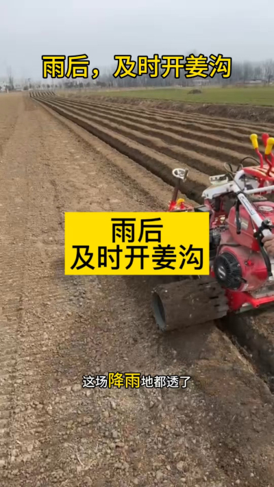 雨后，及时开姜沟！