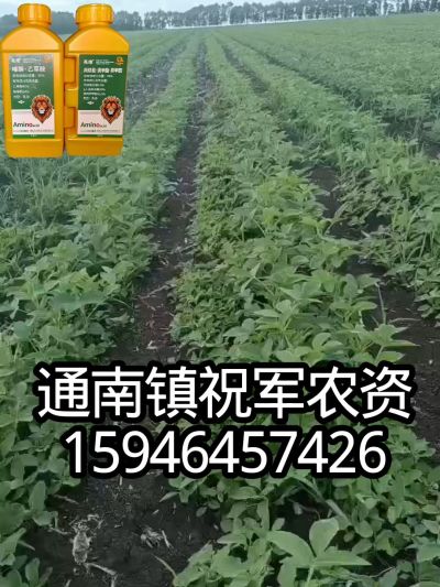 大豆苗前封闭，可封红根苋菜，灰菜，兰花菜，野豆子，捞豆秧等恶性杂草，封杀兼备的高端产品。