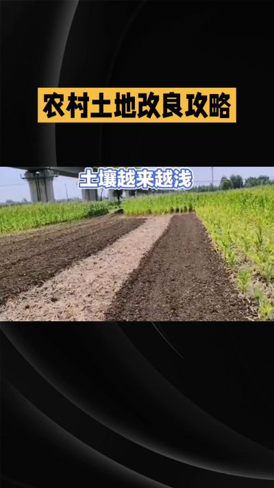 1. 先搞懂：你到底要改良哪块地、种什么
 
- 土土土在哪里？
就是你自家农田、菜地、果园，哪块地想种庄稼，就测哪块地的土。
​
- 有水没有水？
有水能浇：改良更省事，施肥、调酸碱都好操作。
没水