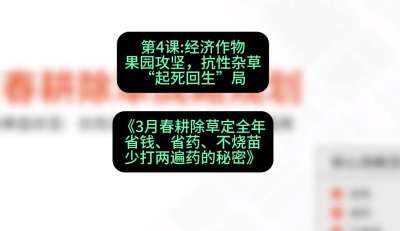 第4节：经济作物果园攻坚，抗性杂草&ldquo;起死回生&rdquo;局，课程：《3月春耕除草定全年：省钱、省药、不烧苗、少打两遍药的秘密》